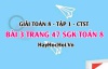 Giải bài 3 trang 47 Toán 8 Tập 1 SGK Chân trời sáng tạo